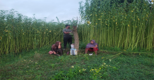 জীবননগর সীমান্তে বিএসএফের পুশইন চেষ্টা, প্রতিহত করলো বিজিবি