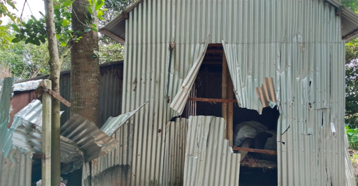 সালথায় ছাত্রদল নেতার নেতৃত্বে বাড়িঘরে হামলা-ভাঙচুরের অভিযোগ