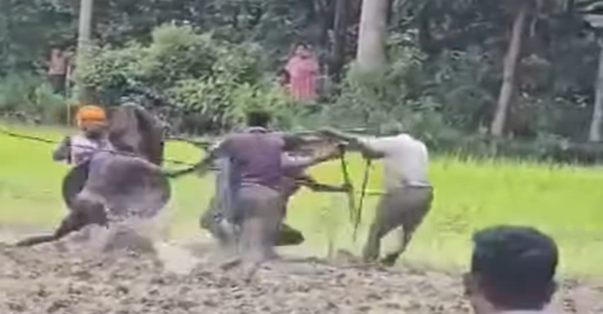 সালথায় দুই পক্ষের সংঘর্ষে আহত ১০: বাড়িঘর ভাঙচুর-লুটপাট