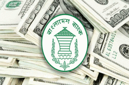 ১৯ দিনে এলো ২৩ হাজার কোটি টাকার রেমিট্যান্স