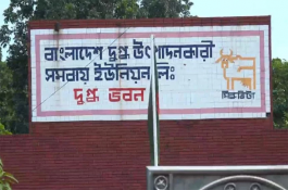 লিটারপ্রতি ১০ টাকা বেড়েছে প্রায় সব ব্র্যান্ডের তরল দুধের দাম