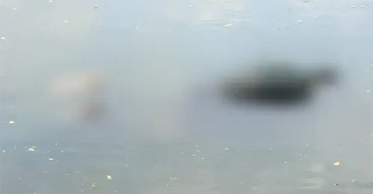 রাজধানীর ধানমন্ডি লেক থেকে ভাসমান মরদেহ উদ্ধার