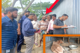 মদনে অসুস্থ গরুর মাংস বিক্রির দায়ে ব্যবসায়ীকে জরিমানা