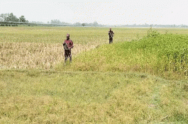 সীমান্তে ৭ জনকে পুশইনের চেষ্টা বিএসএফের