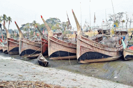 মধ্যরাত থেকে ইলিশ ধরায় ২২ দিনের নিষেধাজ্ঞা