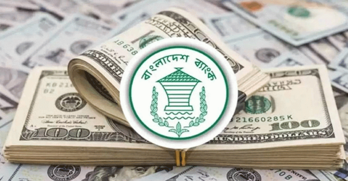 ১৩ দিনে এলো ১৭ হাজার ২৮১ কোটি টাকা রেমিট্যান্স