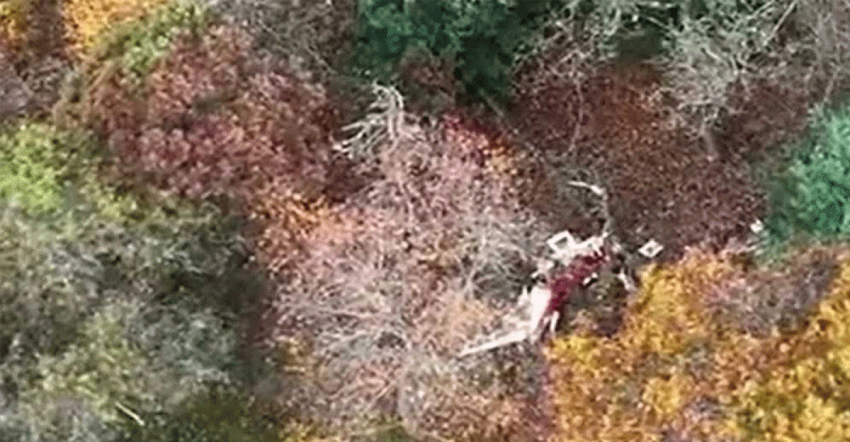 যুক্তরাষ্ট্রে ভয়াবহ বিমান দুর্ঘটনা, নিহত ৬