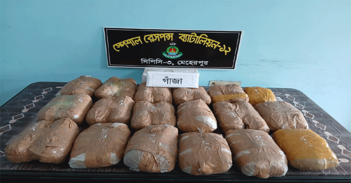 দামুড়হুদায় ১৮ কেজি ৫০০ গ্রাম গাঁজাসহ নারী গ্রেফতার