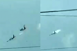 মাঝ আকাশে দুই বিমানের সংঘর্ষ, নিহত ৪