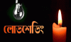 জাতীয় গ্রিডে বিদ্যুৎ বিপর্যয়ের কারণ জানাল মন্ত্রণালয়